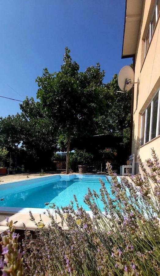 Apartment Vrljika,With Private Pool,Bikes,Garage Imotski Esterno foto